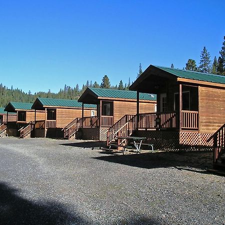 Yosemite Lakes Cabin 40 Harden Flat Εξωτερικό φωτογραφία