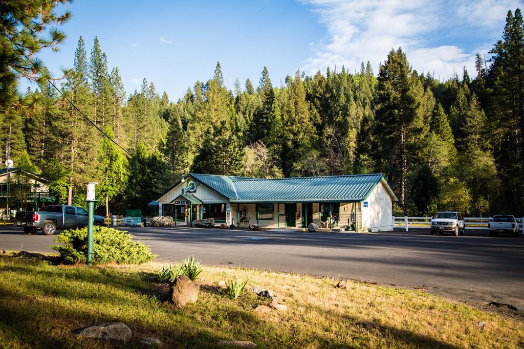 Yosemite Lakes Cabin 40 Harden Flat Εξωτερικό φωτογραφία