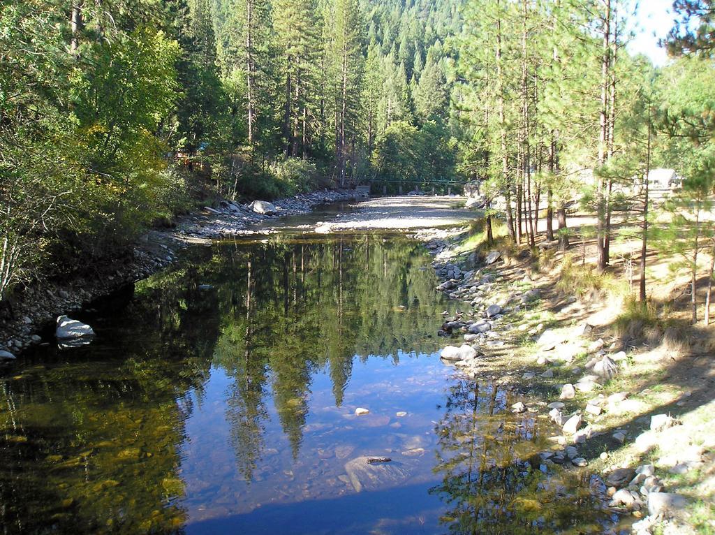 Yosemite Lakes Cabin 40 Harden Flat Εξωτερικό φωτογραφία